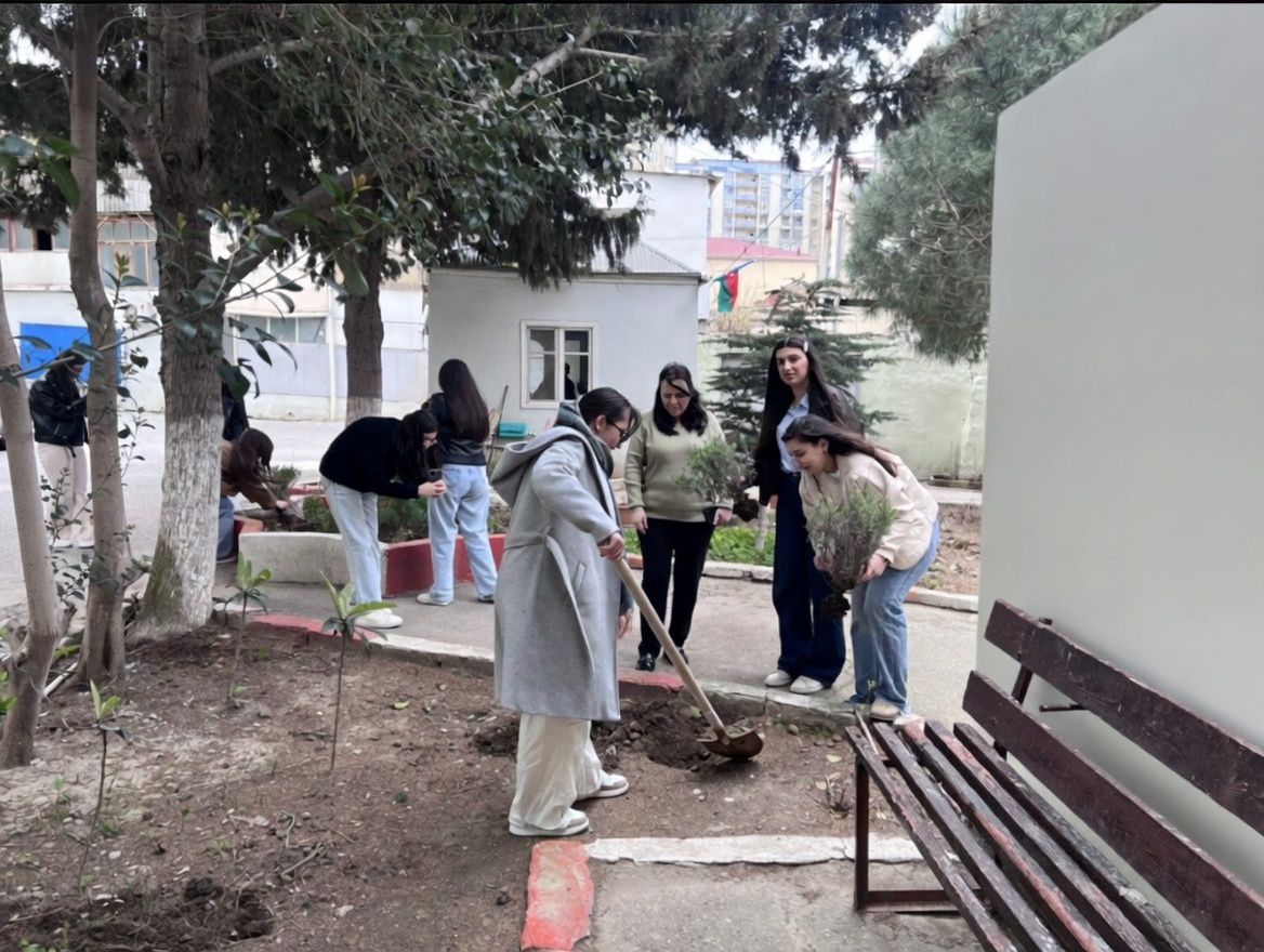Bakı Qızlar Universitetində ağacəkmə aksiyası keçirilib
